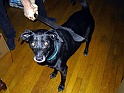 102-0272_IMG