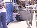 GoatTalladega