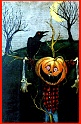 PunkinHead